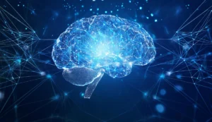 Brain functional organization: does it still make sense to talk about “brain areas” in modern neuroscience?