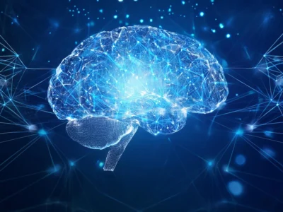Brain functional organization: does it still make sense to talk about “brain areas” in modern neuroscience?