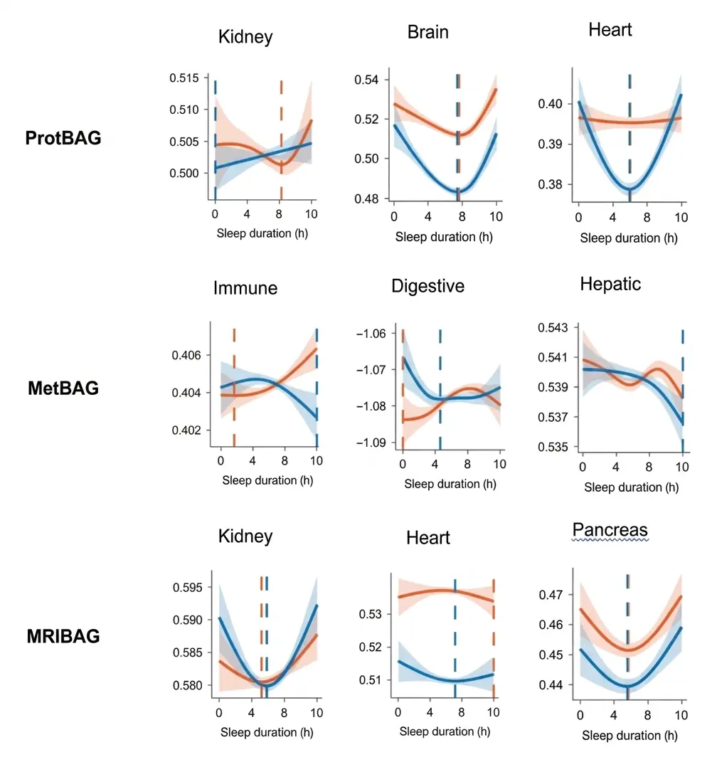Relationship between sleep duration and biological aging clocks (BAG) across different organs and omics technologies.