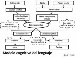 Animated version of Ellis and Young’s cognitive model of language processing, used to illustrate the neuropsychological assessment and rehabilitation of aphasias.
